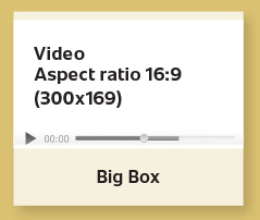 The Carillon in-stream video big box ad specifications.